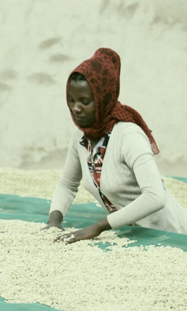 Image of Uraga Layio