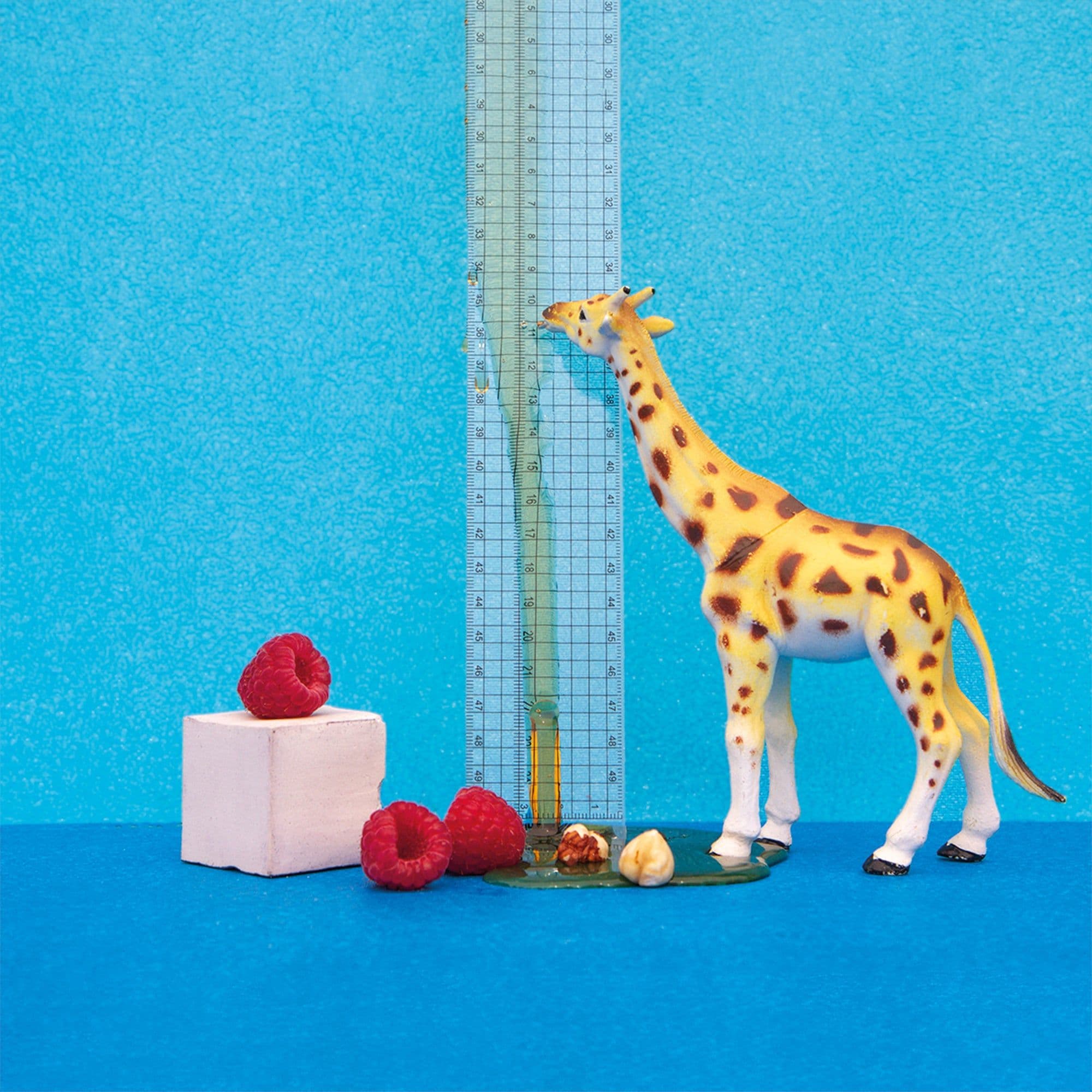 Image of Diego Baraona Washed El Salvador Usulatan