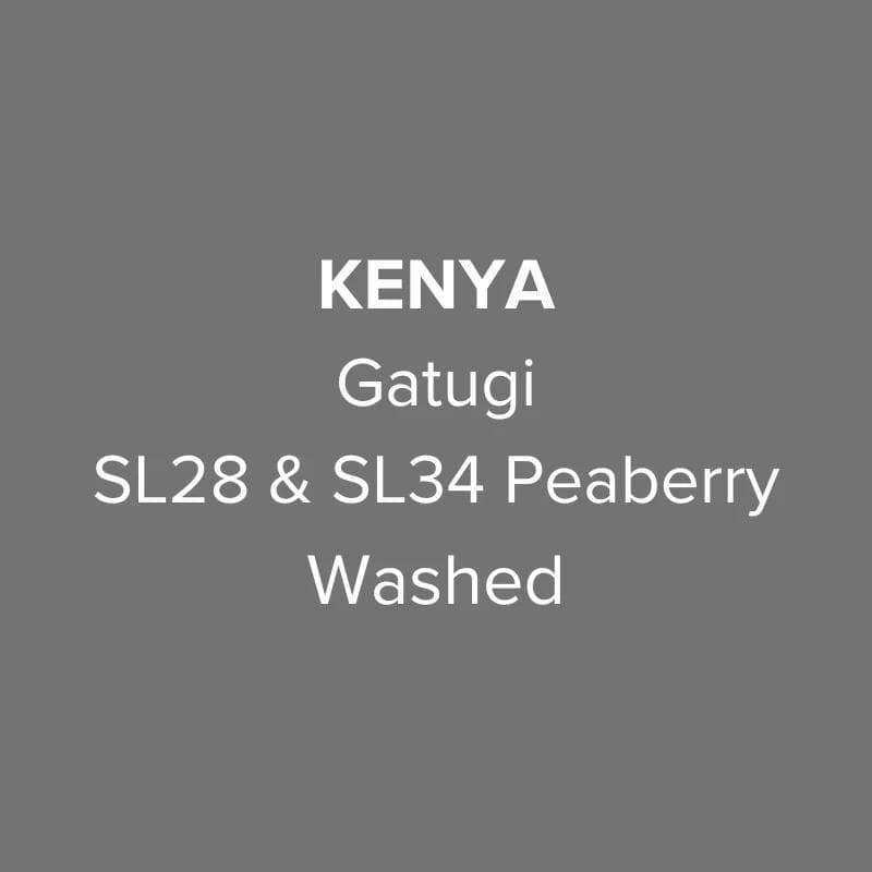 Image of Kenya Nyeri Gatugi SL28 SL34 Peaberry Washed