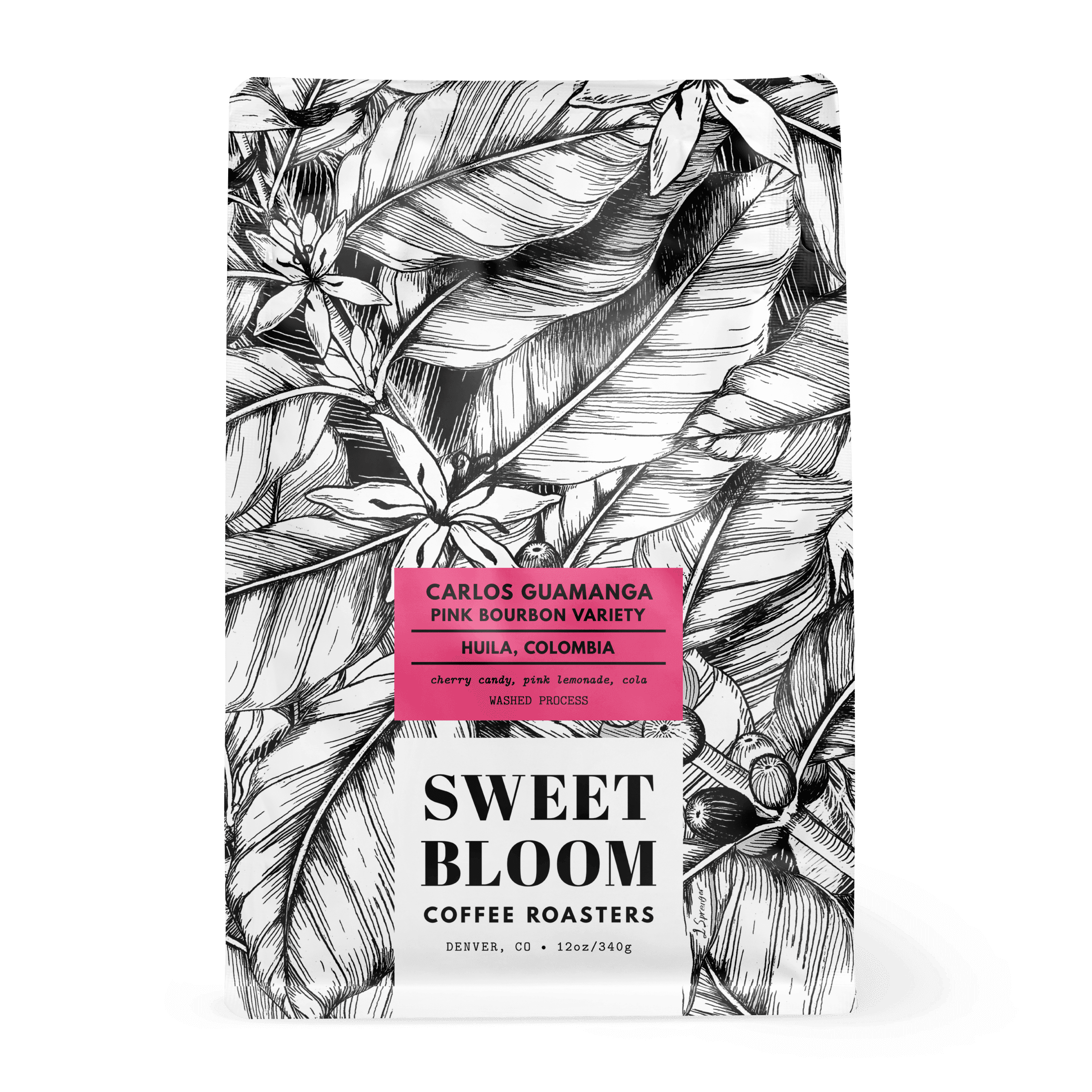 Image of Carlos Guamanga