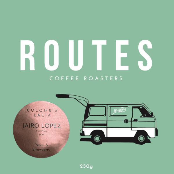 Image of Lacia Collection Jairo Lopez  Java