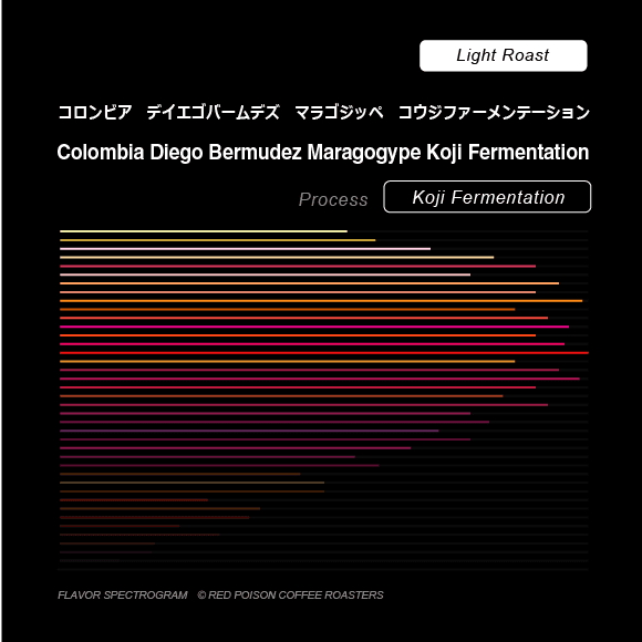 Image of Diego Bermudez Maragogype Koji Fermentation