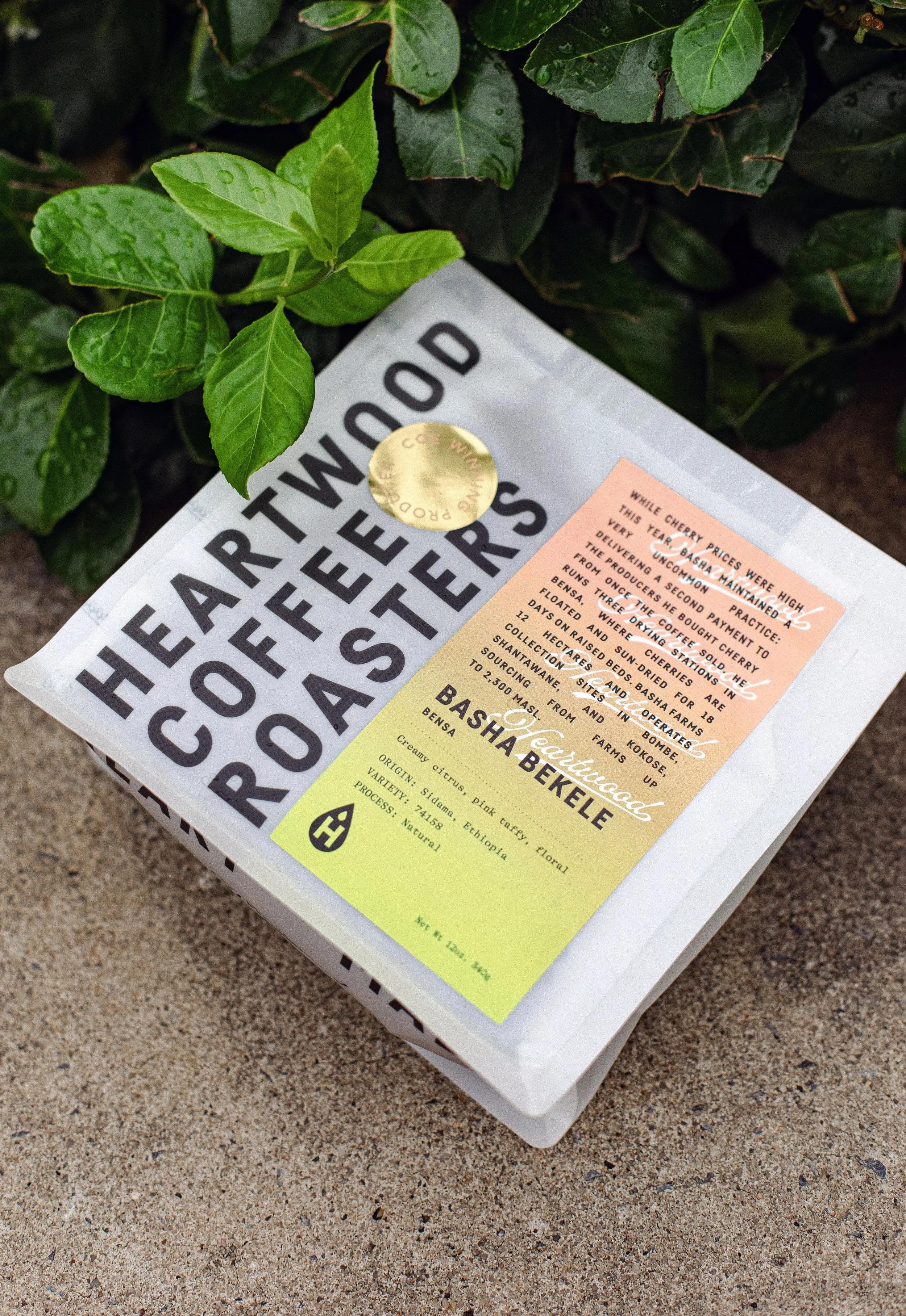 Image of Basha Bekele Ethiopia