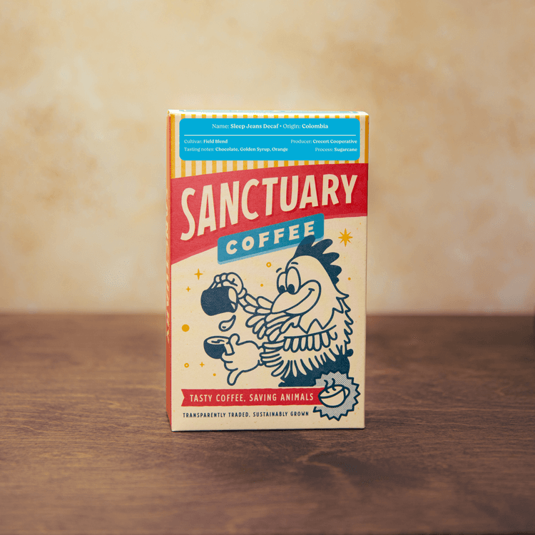 Image of Sleep Jeans Decaf