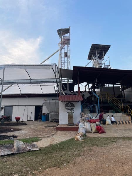 Image of Javier Debernardi Veracruz Lavado