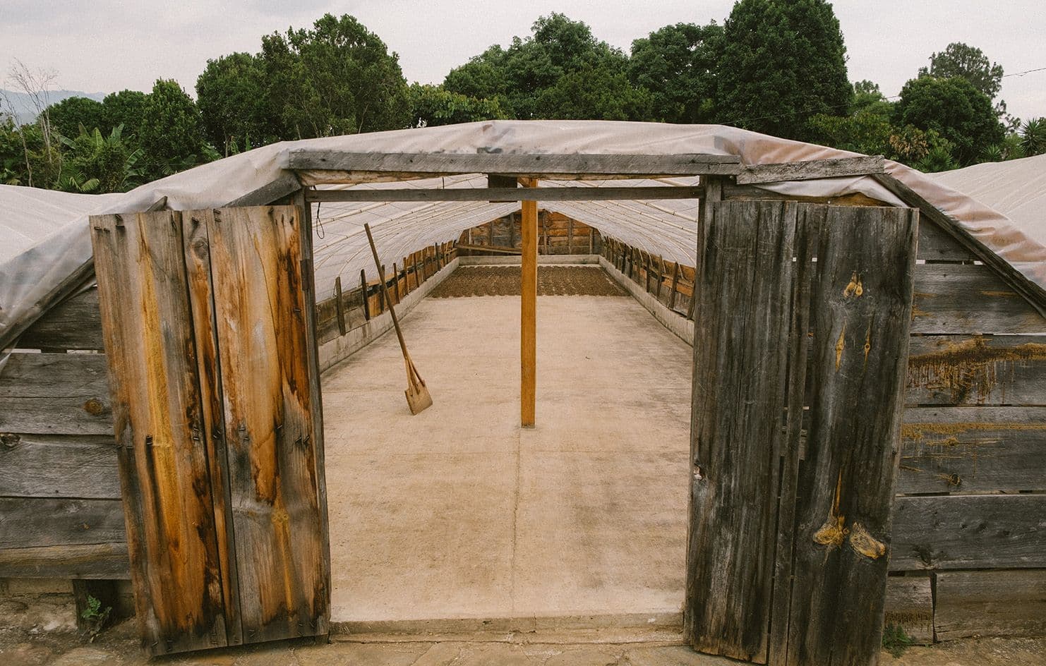 Image of Finca La Bella