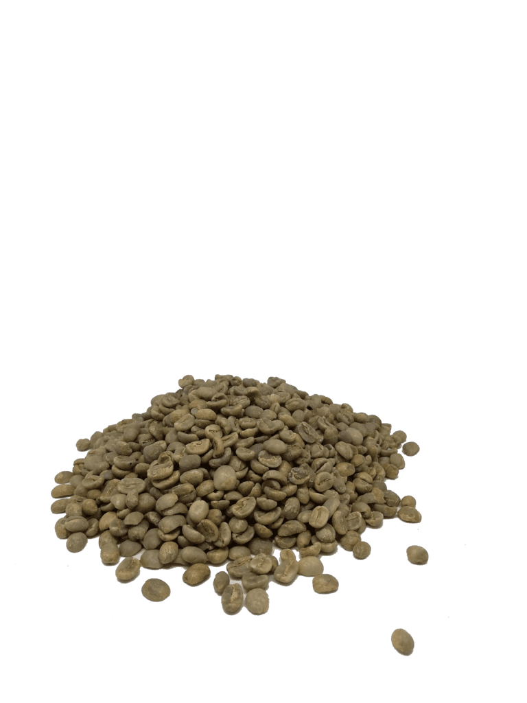 Image of  Raw Coffee  Organic Honduras Comsa