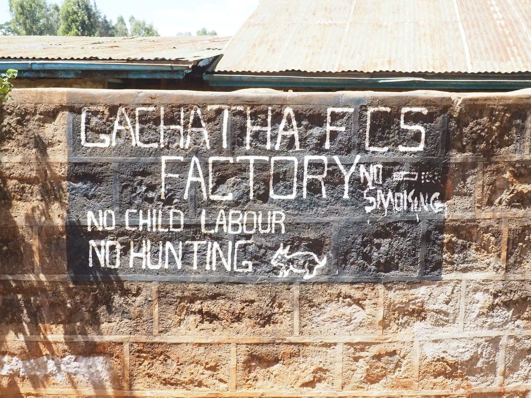 Image of Kenya Gachatha