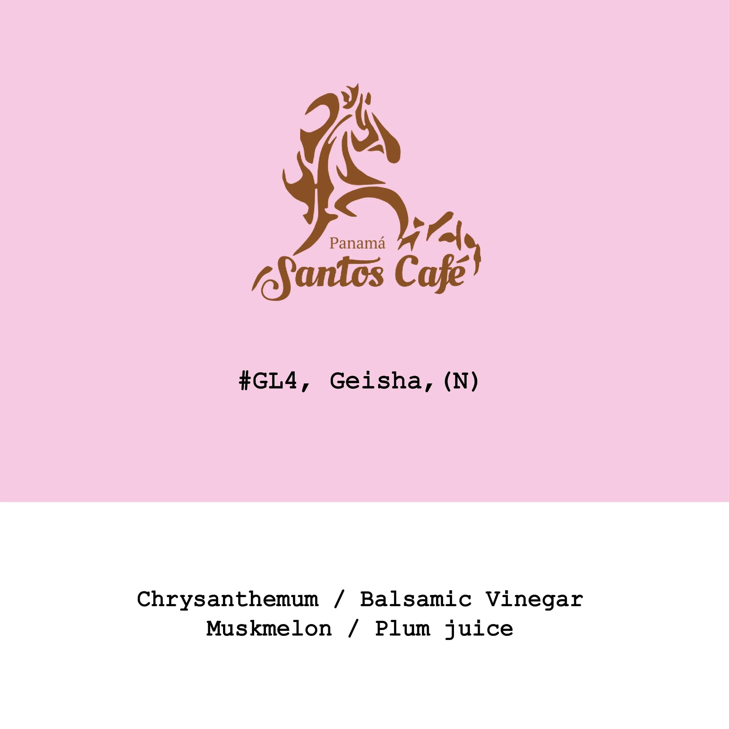 Image of Panama Santos Cafe La Mimada Geisha Natural DRD