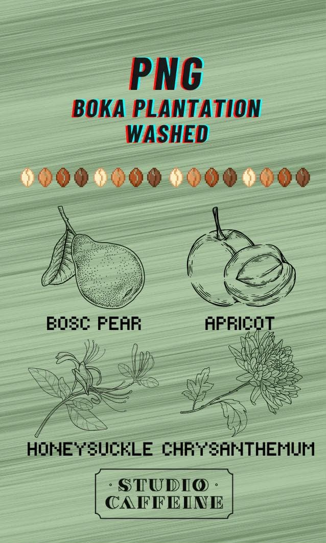 Image of PNG Boka Plantation Washed