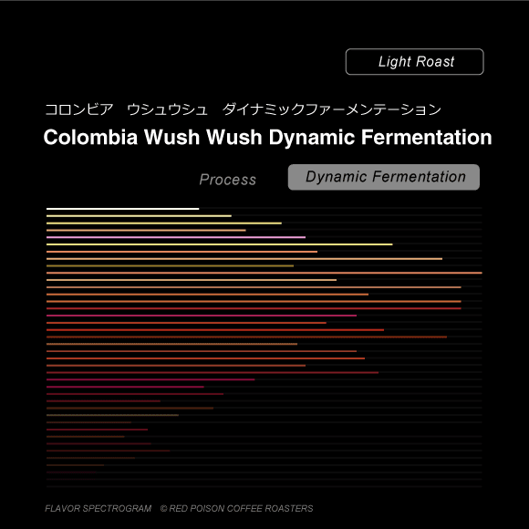 Image of Colombia Wush Wush Dynamic Fermentation