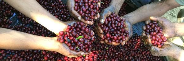 Image of 34 El Salvador