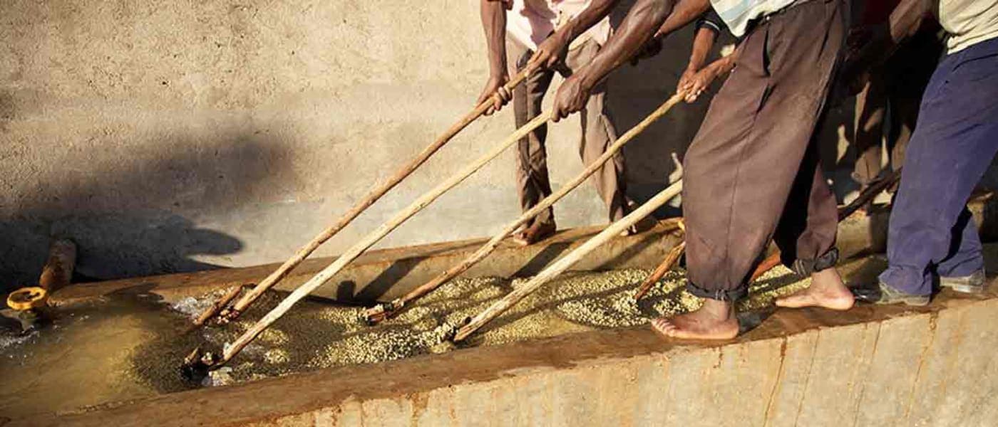 Image of Ethiopia Wote