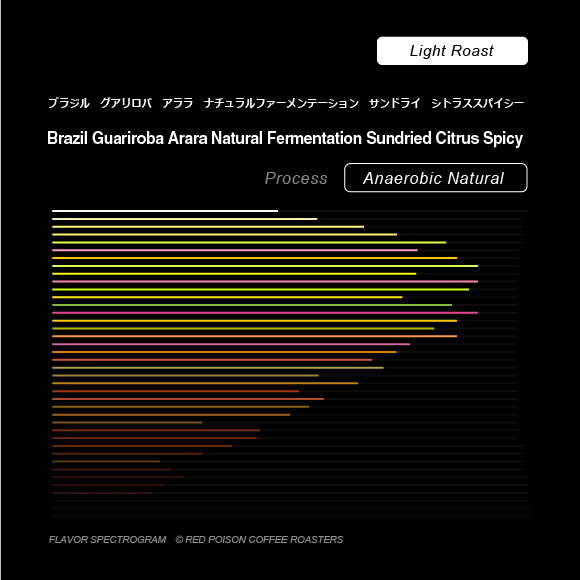 Image of Guariroba Arara Natural Fermentation Sundried