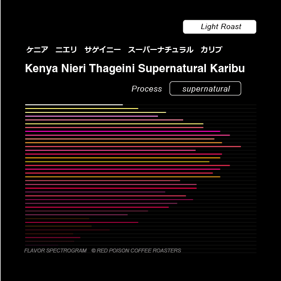 Image of Kenya Nyeri Sageney Supernatural Caribbean Light Roast