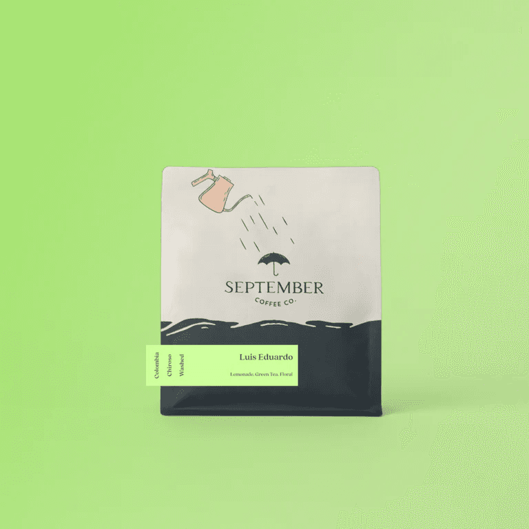 Image of September - Luis Eduardo