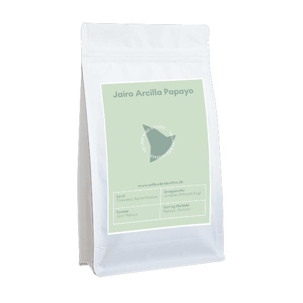 Image of Jairo Arcila Papayo