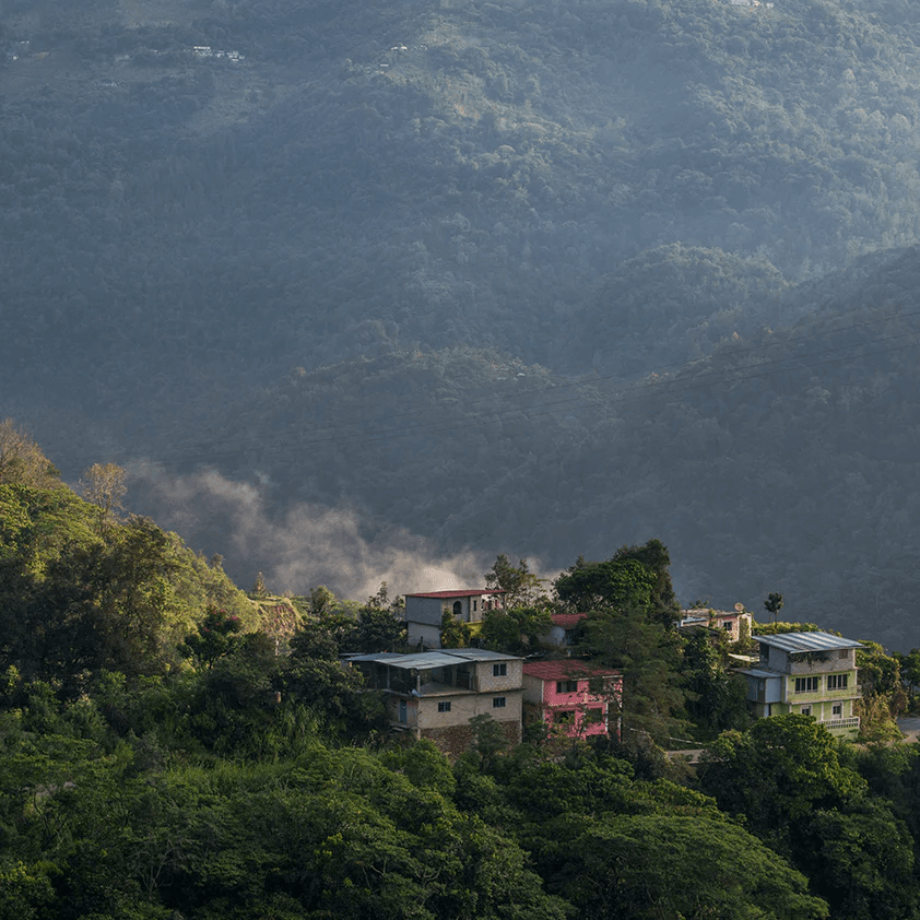 Image of Mountain Water Decaf Mexico