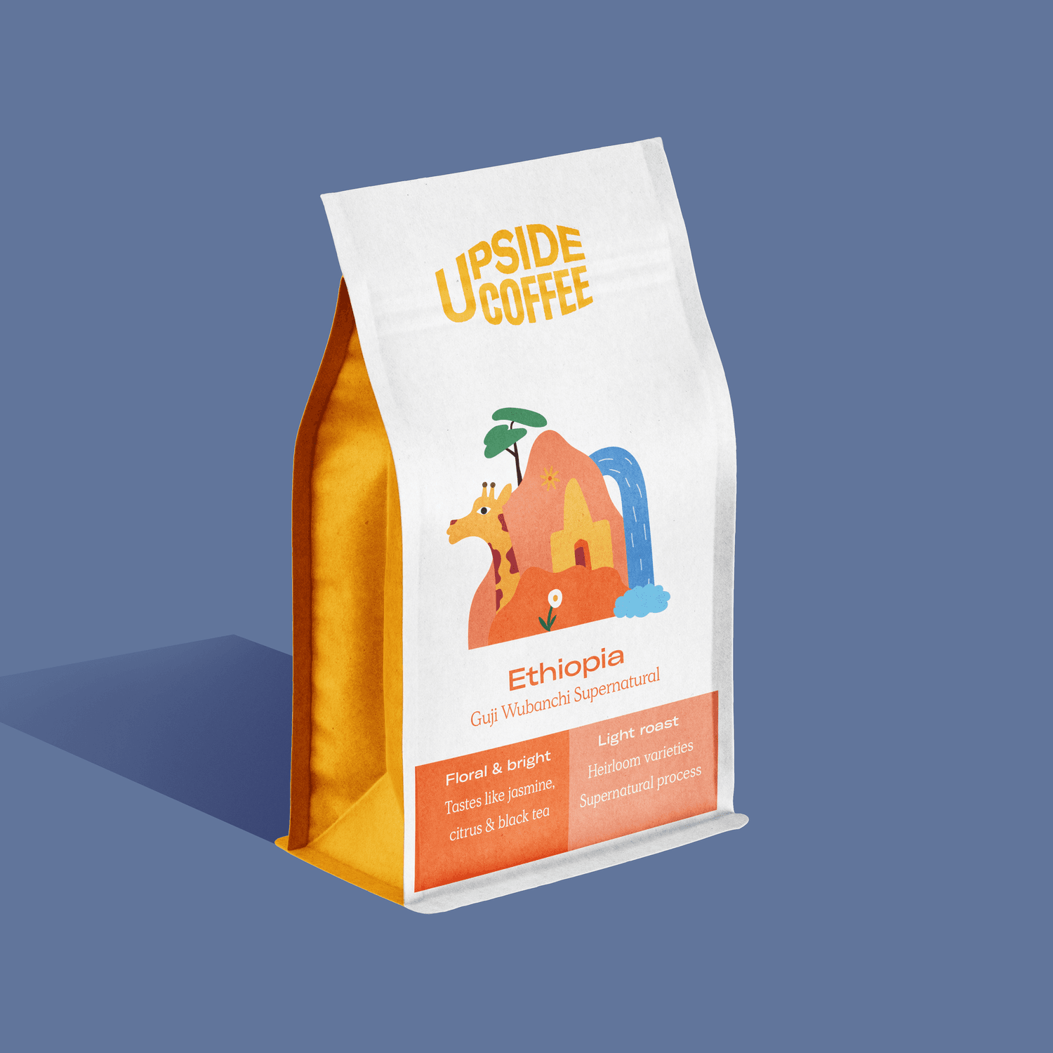 Image of Ethiopia Wubanchi Supernatural Filter