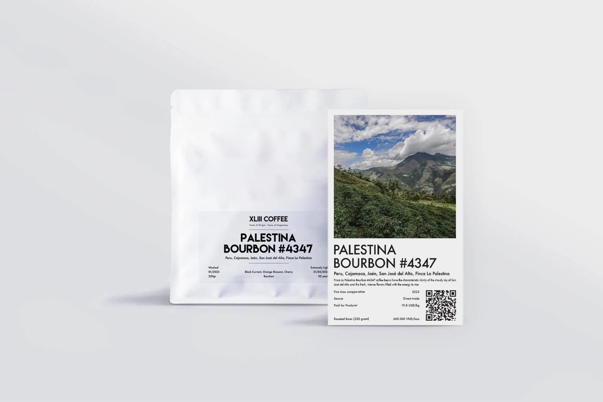 Image of Palestina Bourbon 4347