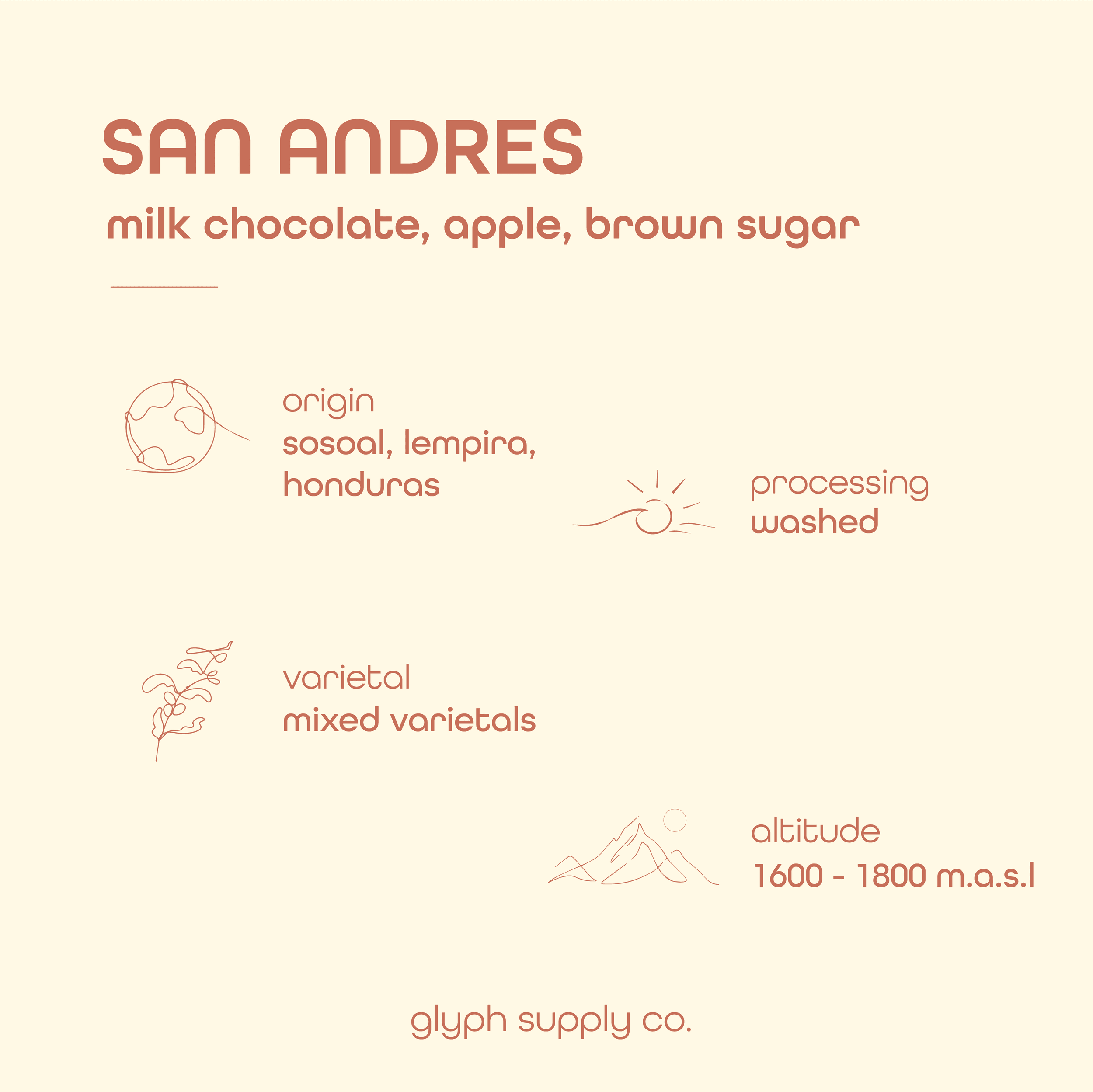 Image of San Andres Honduras Espresso