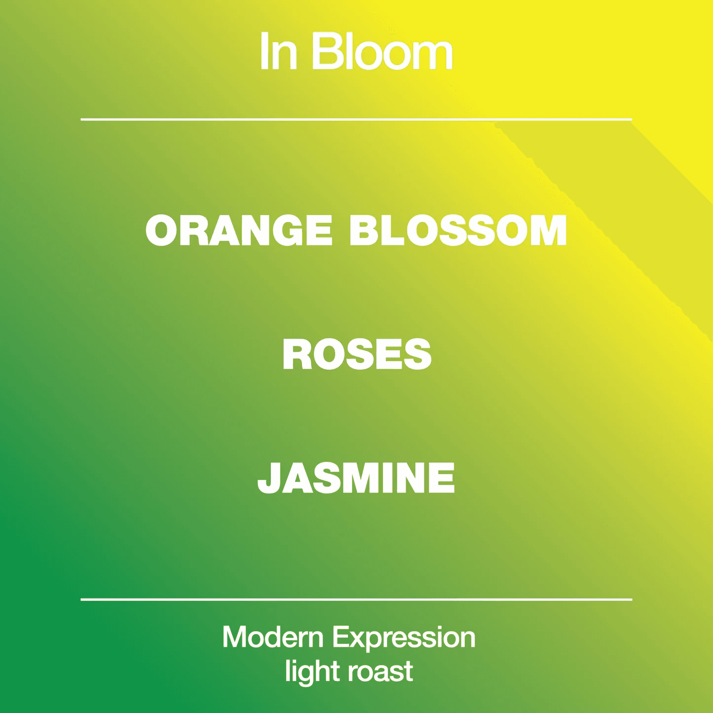 Image of In Bloom Blend