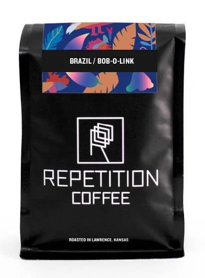 Image of Brazil Bob-O-Link