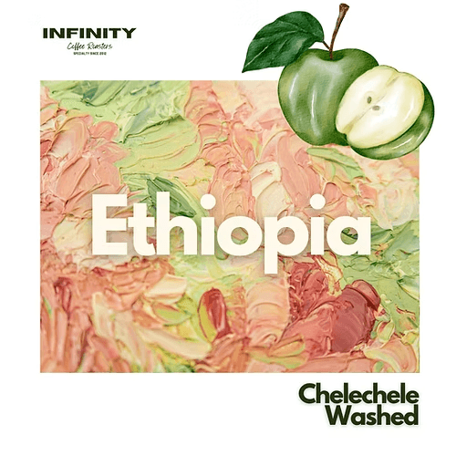 Image of Ethiopia Chelechele Washed