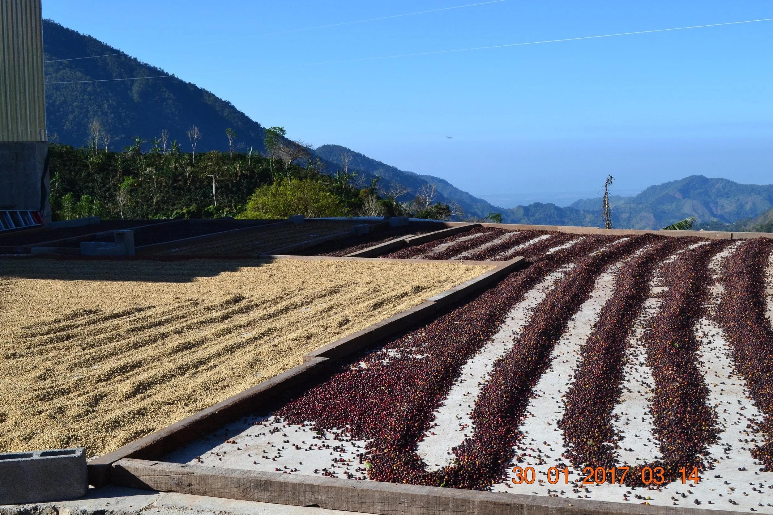 Image of Costa Rica Higueronal