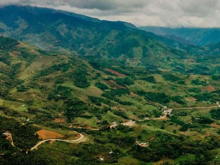 Image of Peru Los Quispe Gesha