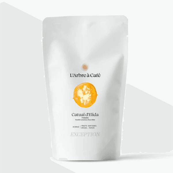 Image of Catuai of Elida Panama