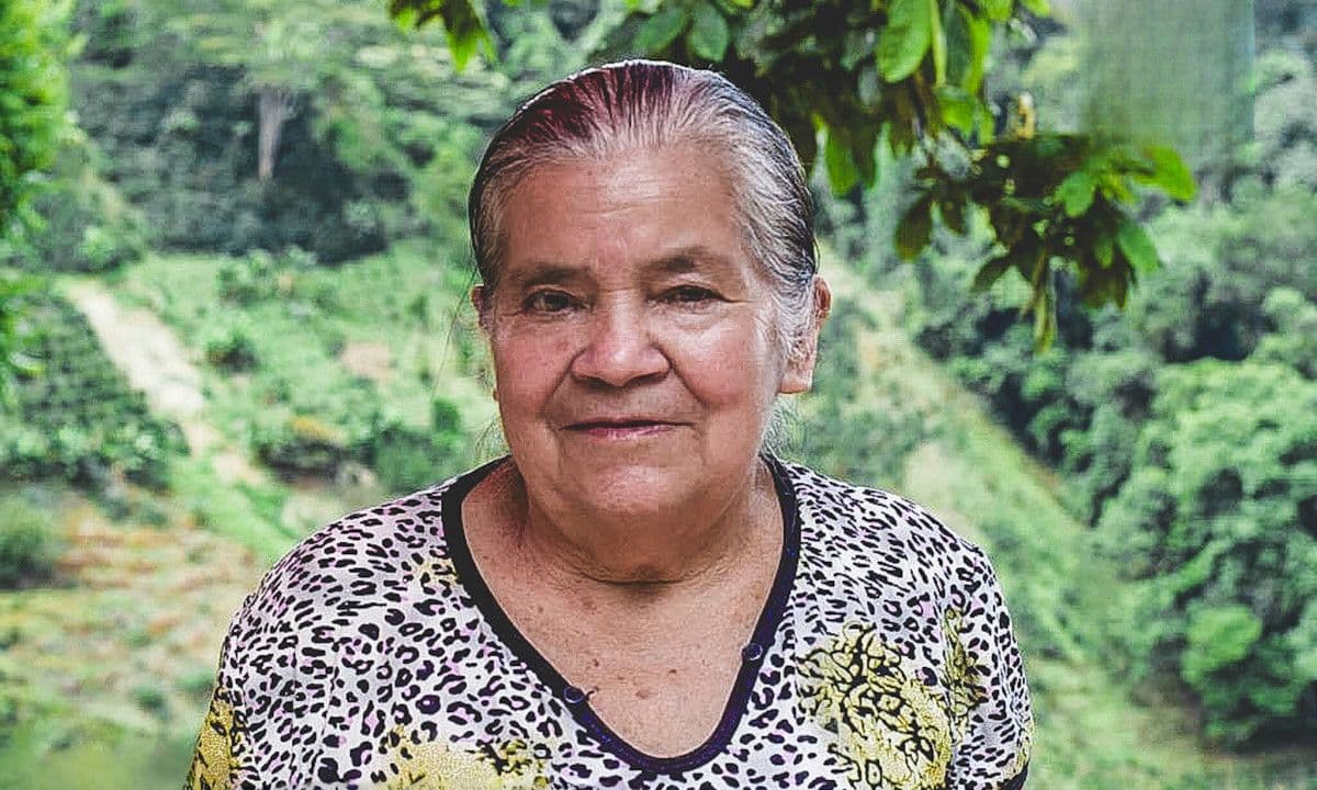 Image of Colombia Tolima Tala Bocanegra