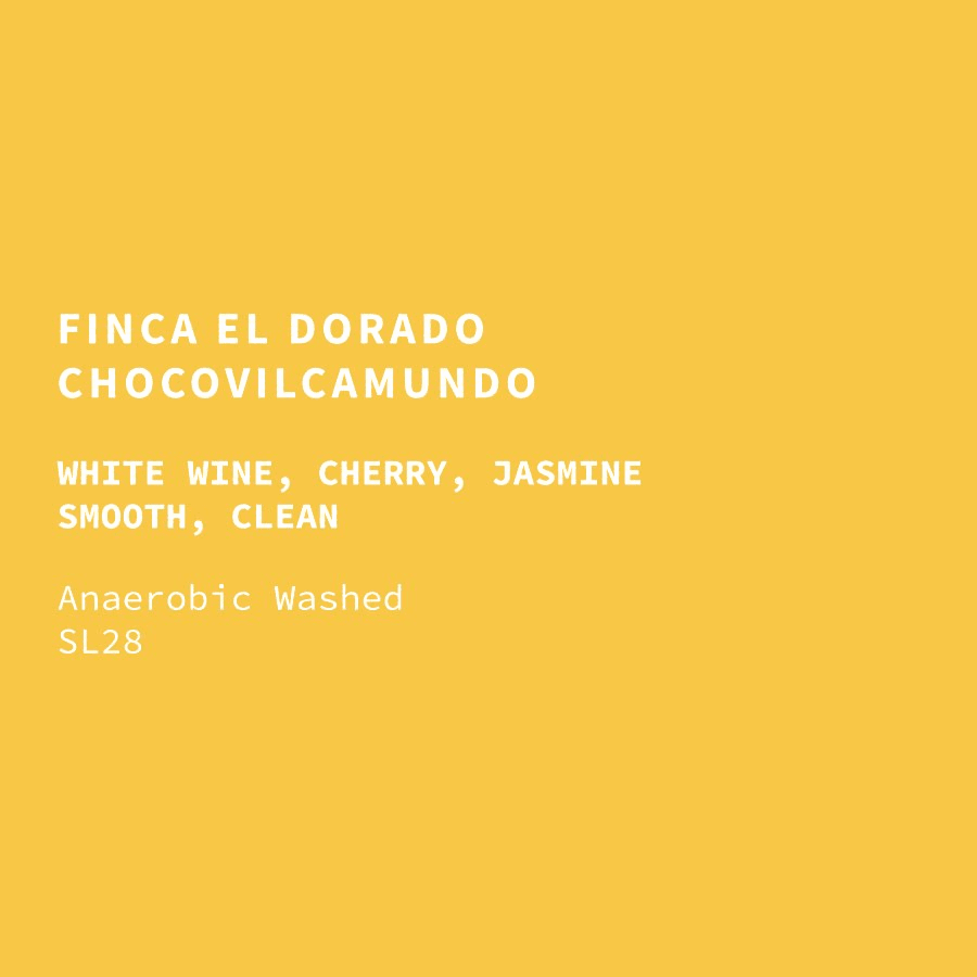 Image of Ecuador El Dorado