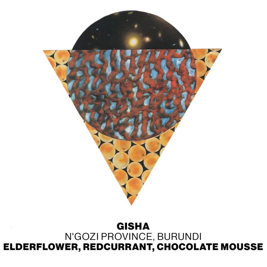 Image of Gisha