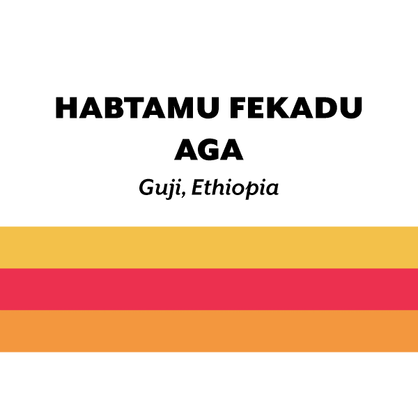 Image of Ethiopia Habtamu Fekadu Aga