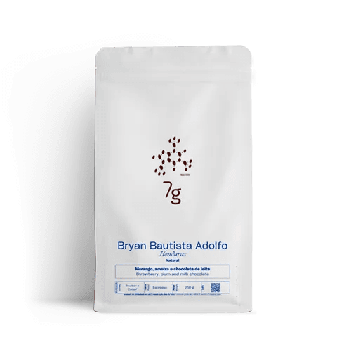 Image of BRYAN BAUTISTA ADOLFO – HONDURAS