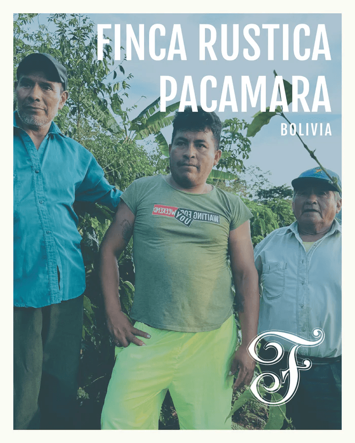 Image of Bolivia Finca Rustica Pacamara
