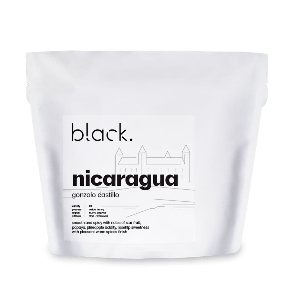 Image of Nicaragua - Gonzalo Castillo