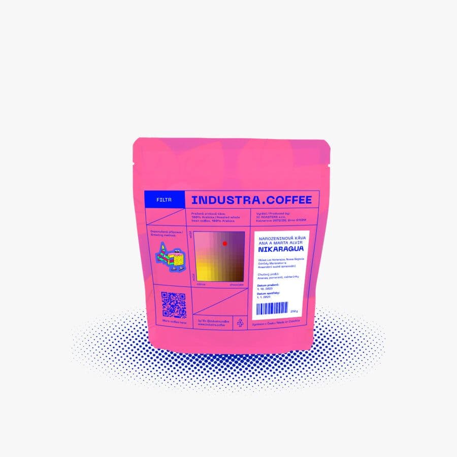 Image of Narozeninova Nikaragua Ana a Martha Alvir