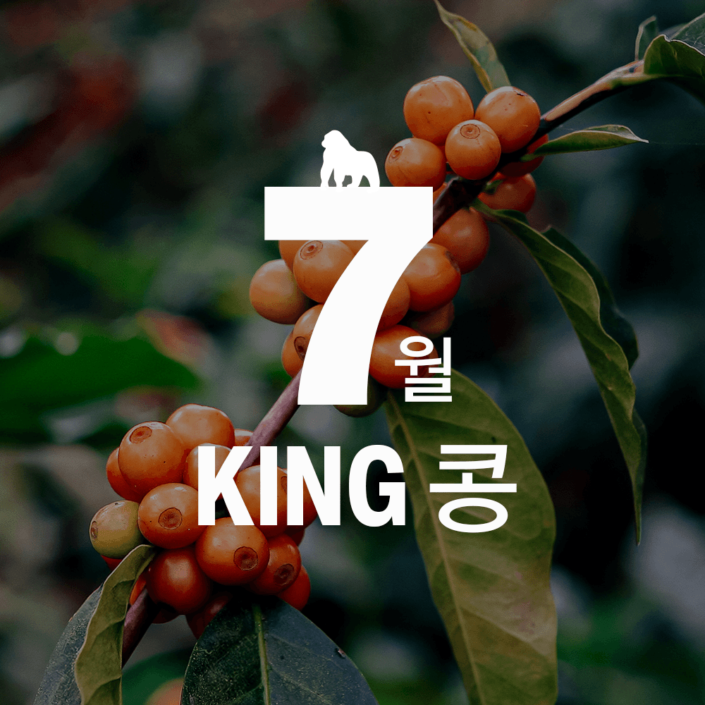 Image of  Colombia Huila Pink Bourbon