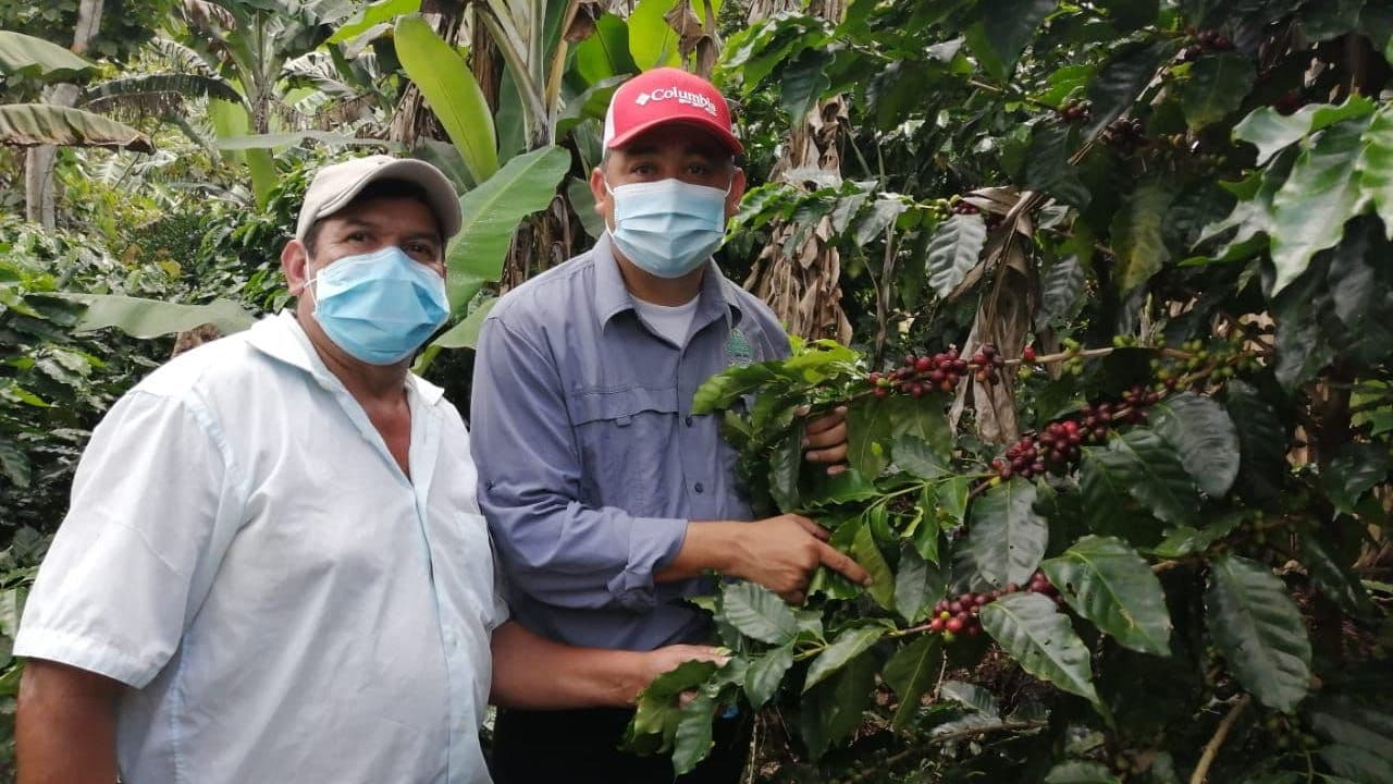 Image of Nicaragua SACACLÍ Cooperative