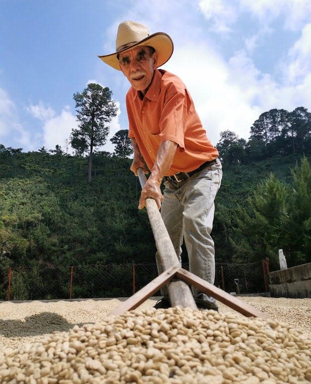 Image of Guatemala La Garita SHB