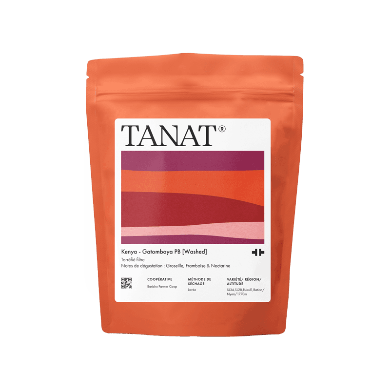 Image of Gatomboya PB