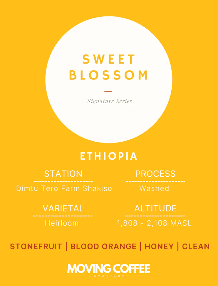 Image of Sweet Blossom