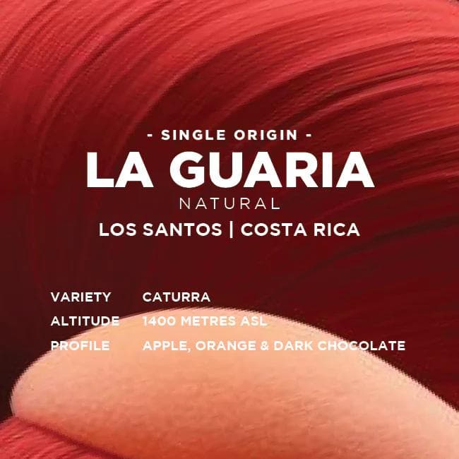 Image of Costa Rica: La Guaria