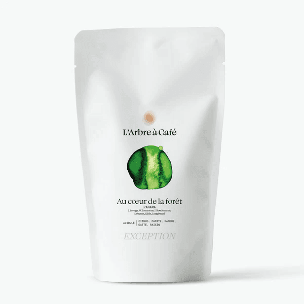 Image of In The Heart Of The Forest Panama