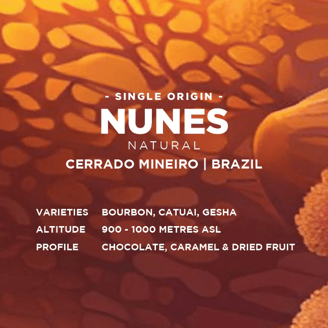 Image of Brazil Nunes