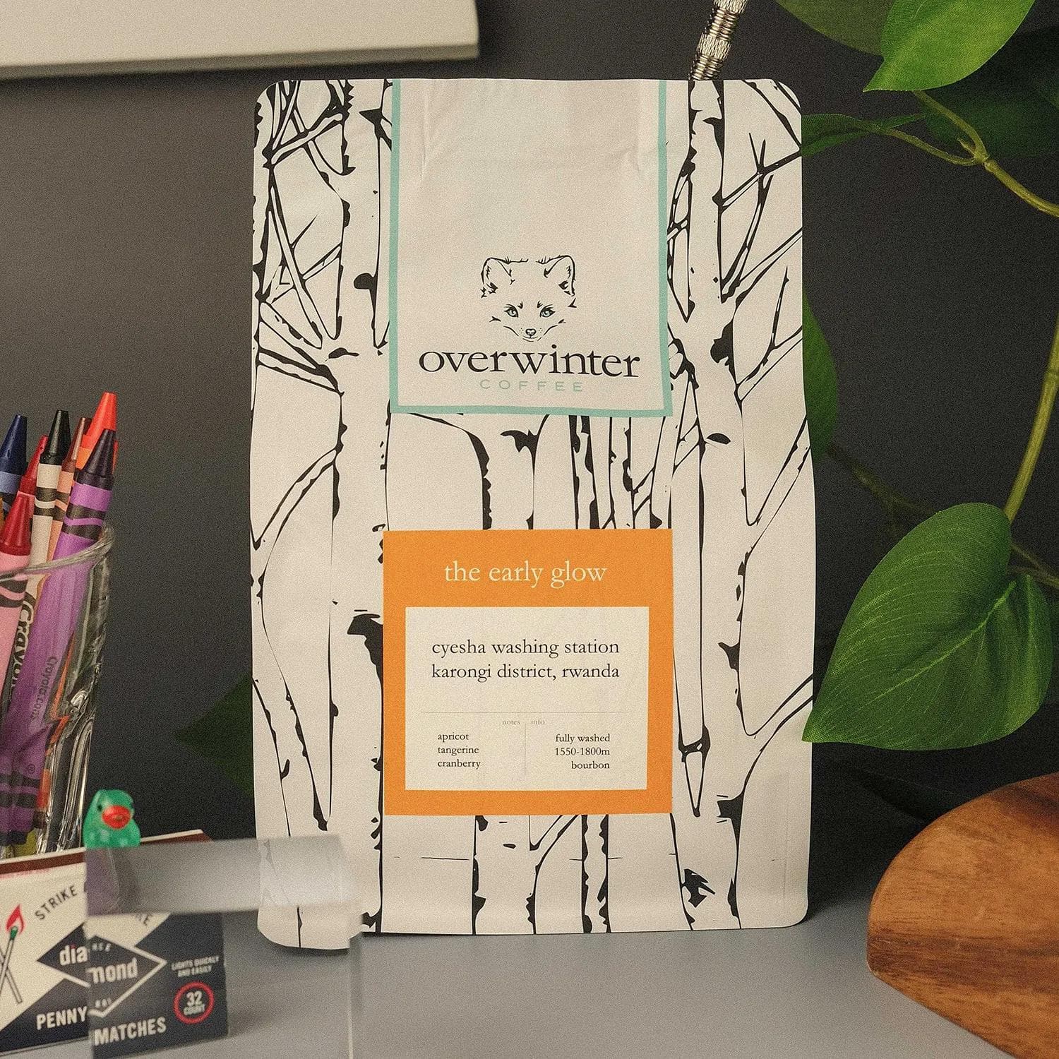 Image of The Early Glow