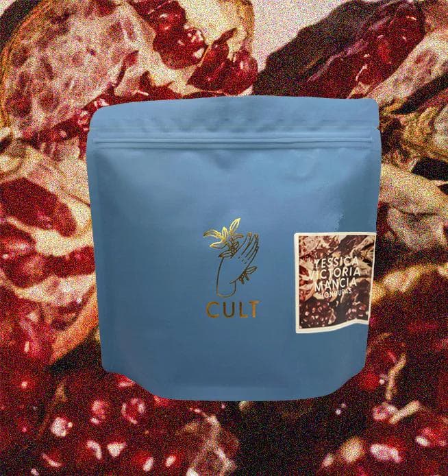 Image of Yessica Victoria Mancia-Washed Honduras