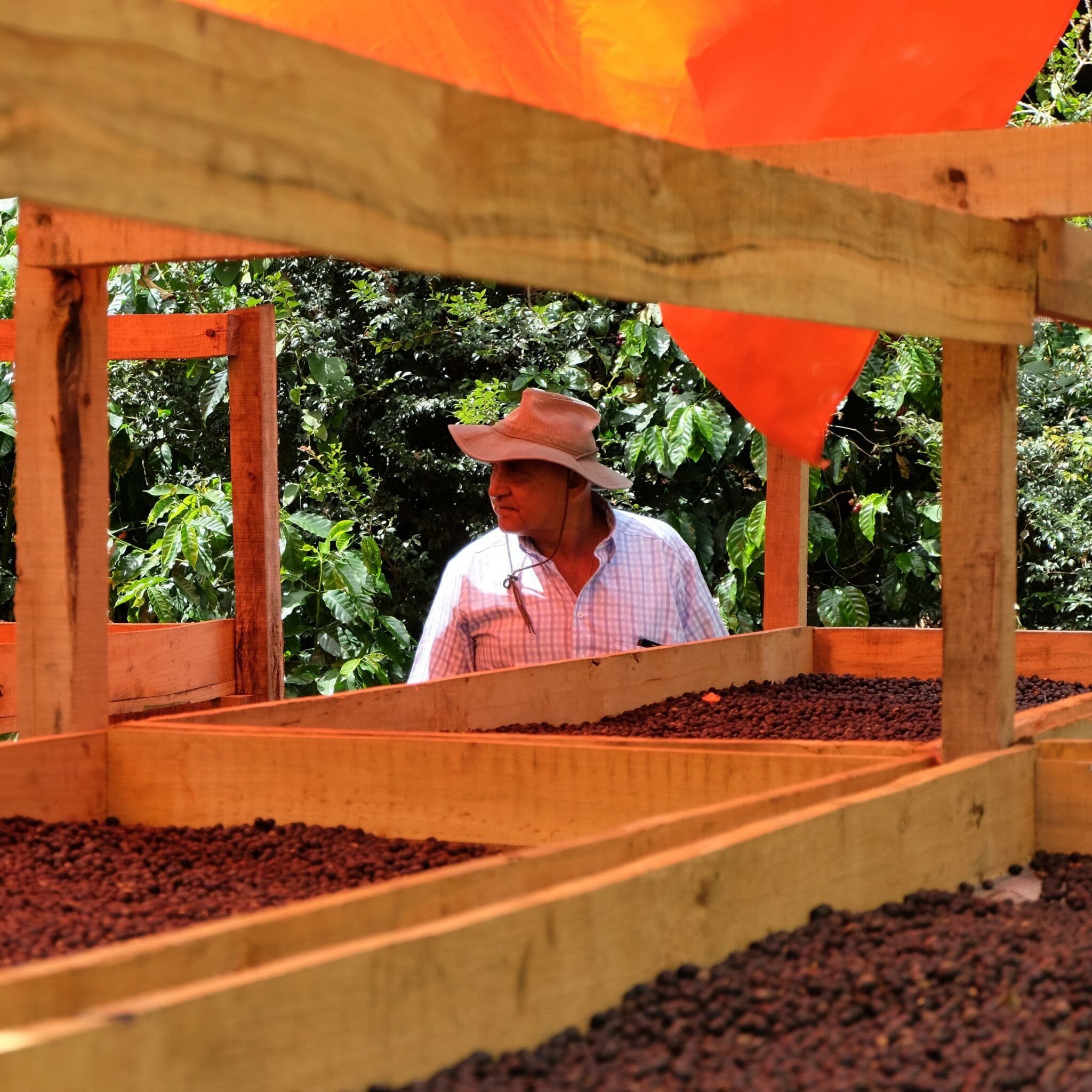 Image of El Salvador - Rene Contreras, Monte Verde, Santa Ana
